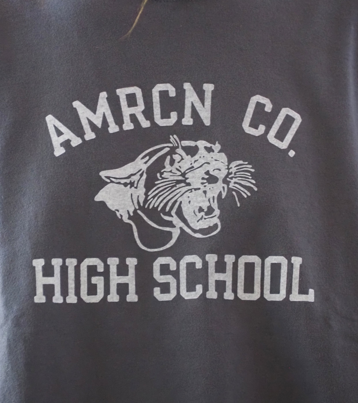Americana Vintage Wash Long Sleeve T-Shirt , Nasu