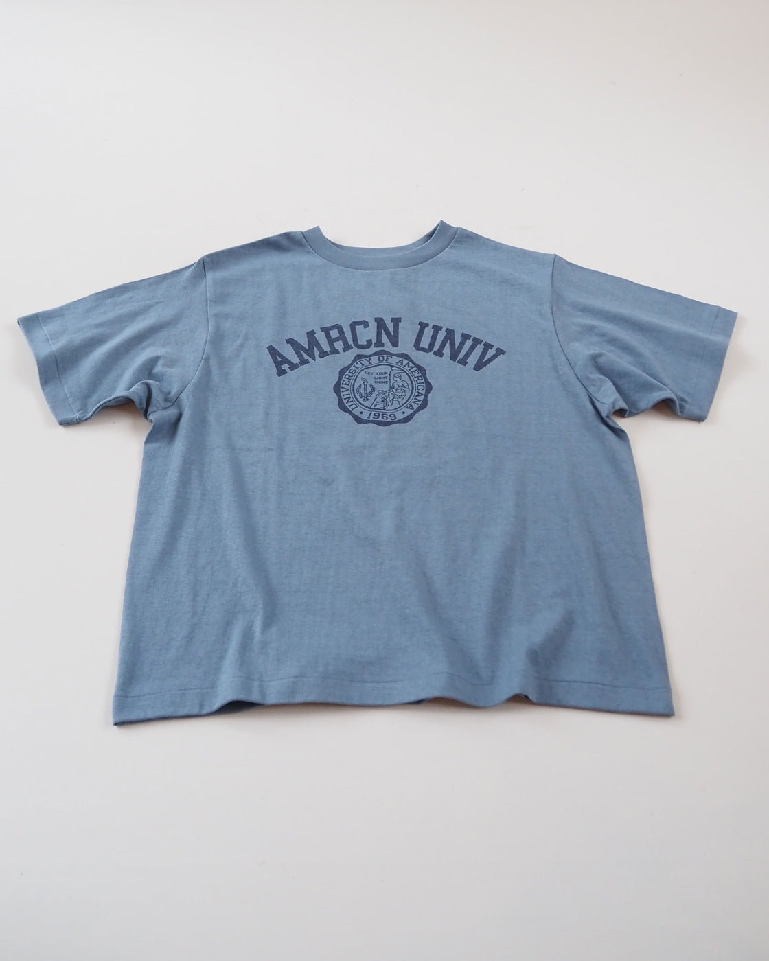 Souvenir Print Seamless Tee Shirt, Blue Gray