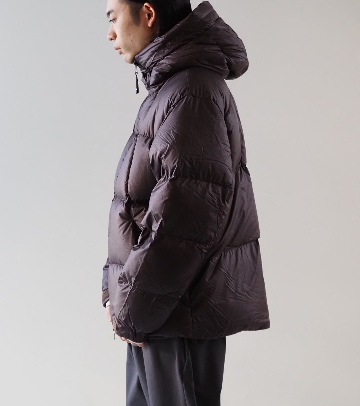 Goldwin Pertex Quantum Down Parka, Deep Brown