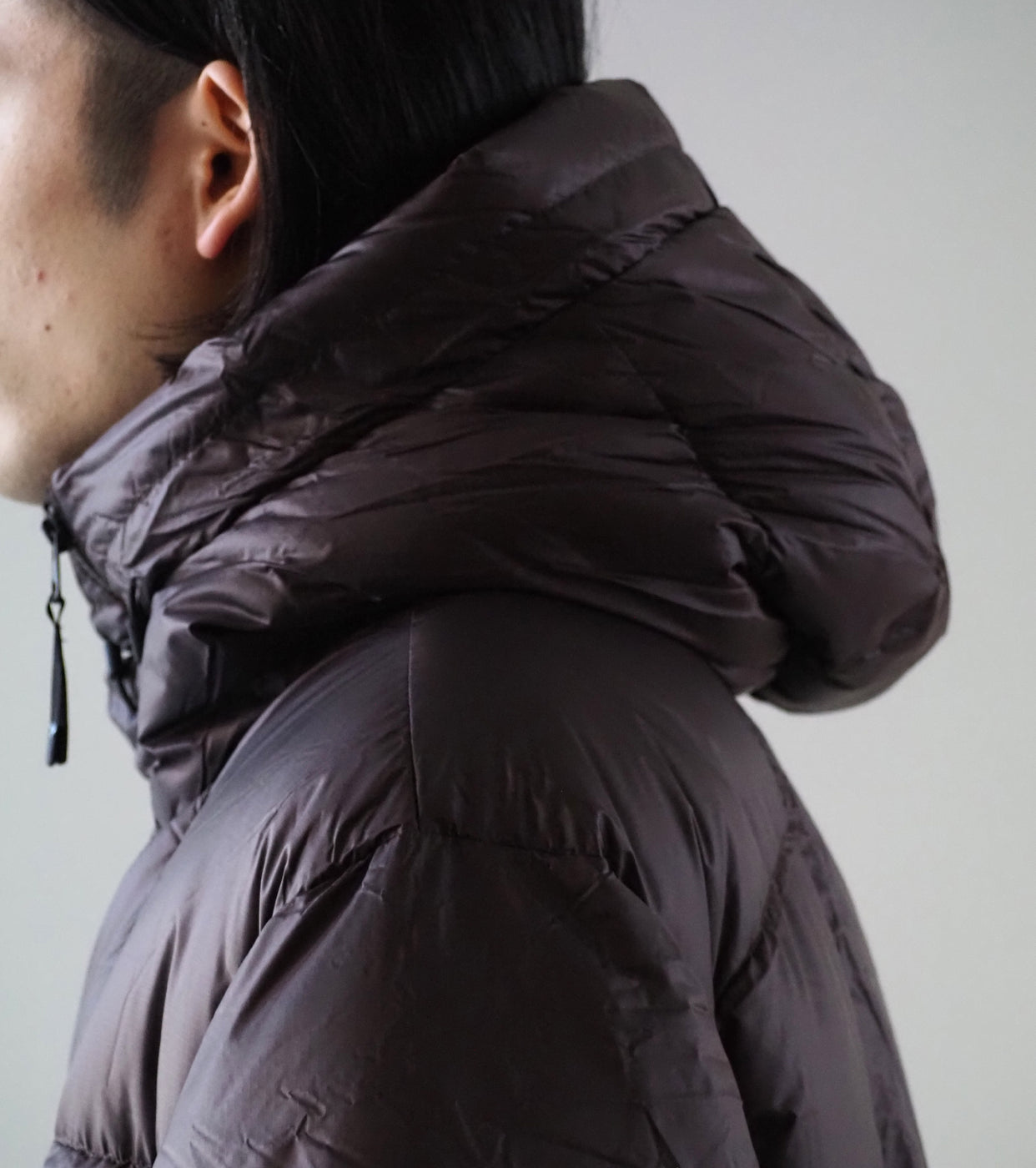 Goldwin Pertex Quantum Down Parka, Deep Brown