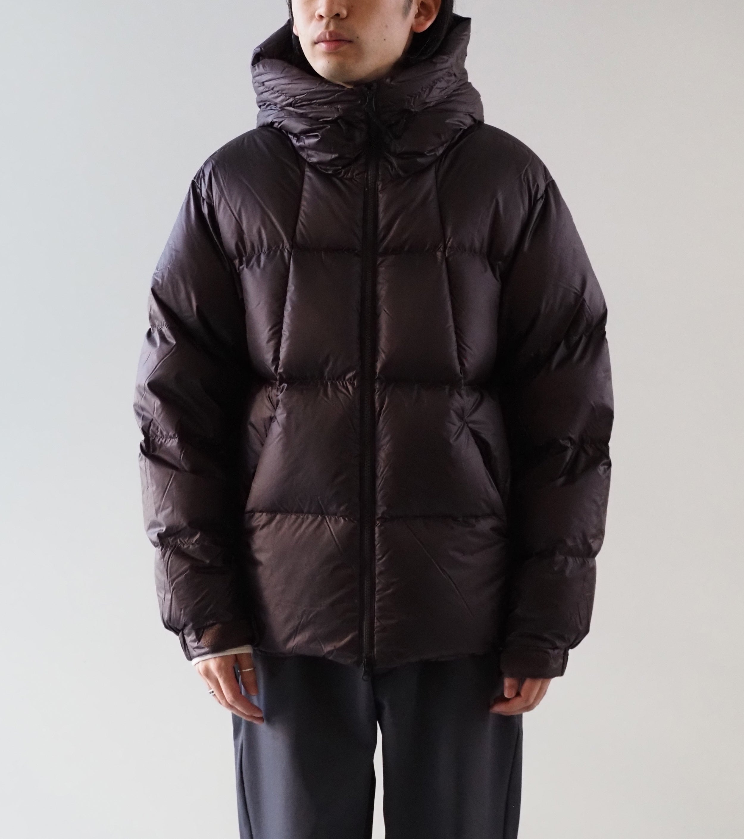 Goldwin Pertex Quantum Down Parka, Deep Brown