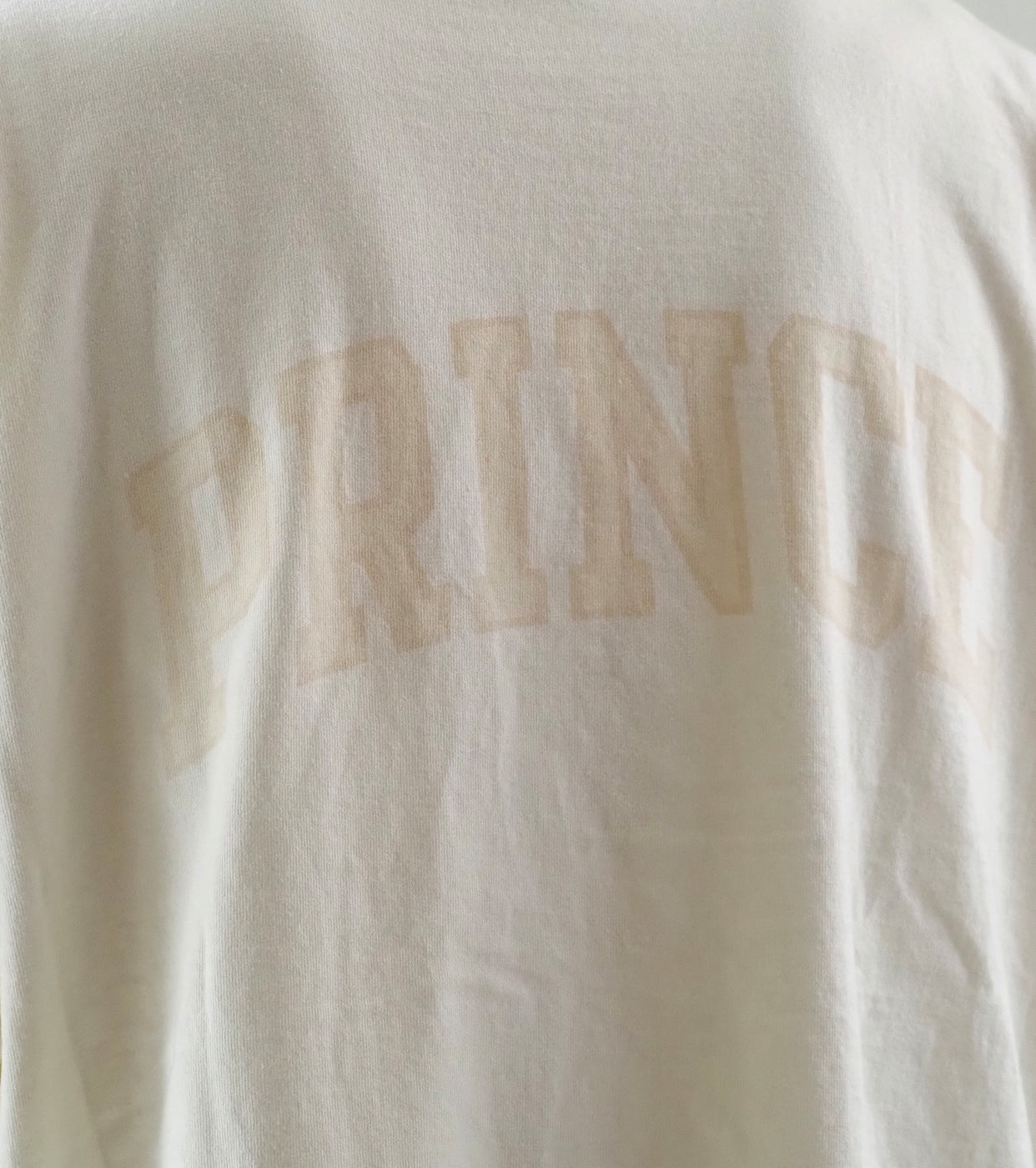 blurhms ROOT STOCK 【NOT-PRINCE】 88/12 プリント ティー ワイド , Ivory × Fade/  Bage-PT