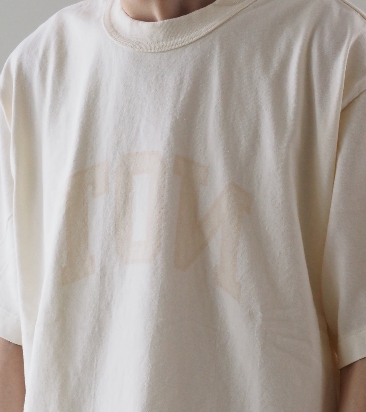 blurhms ROOT STOCK 【NOT-PRINCE】 88/12 プリント ティー ワイド , Ivory × Fade/  Bage-PT