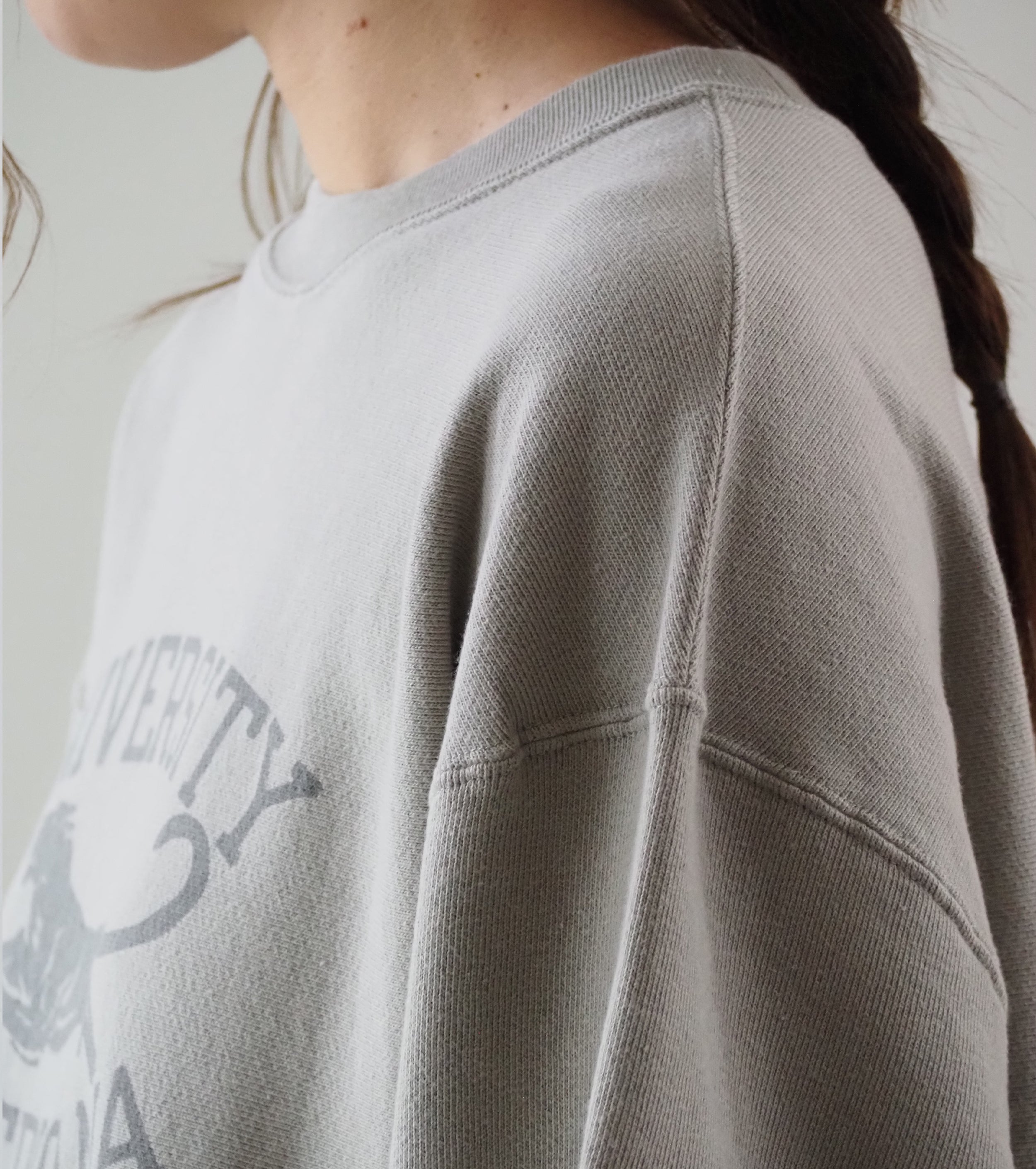 Americana Reverse Weave Crew neck Sweat Shirt , Greige